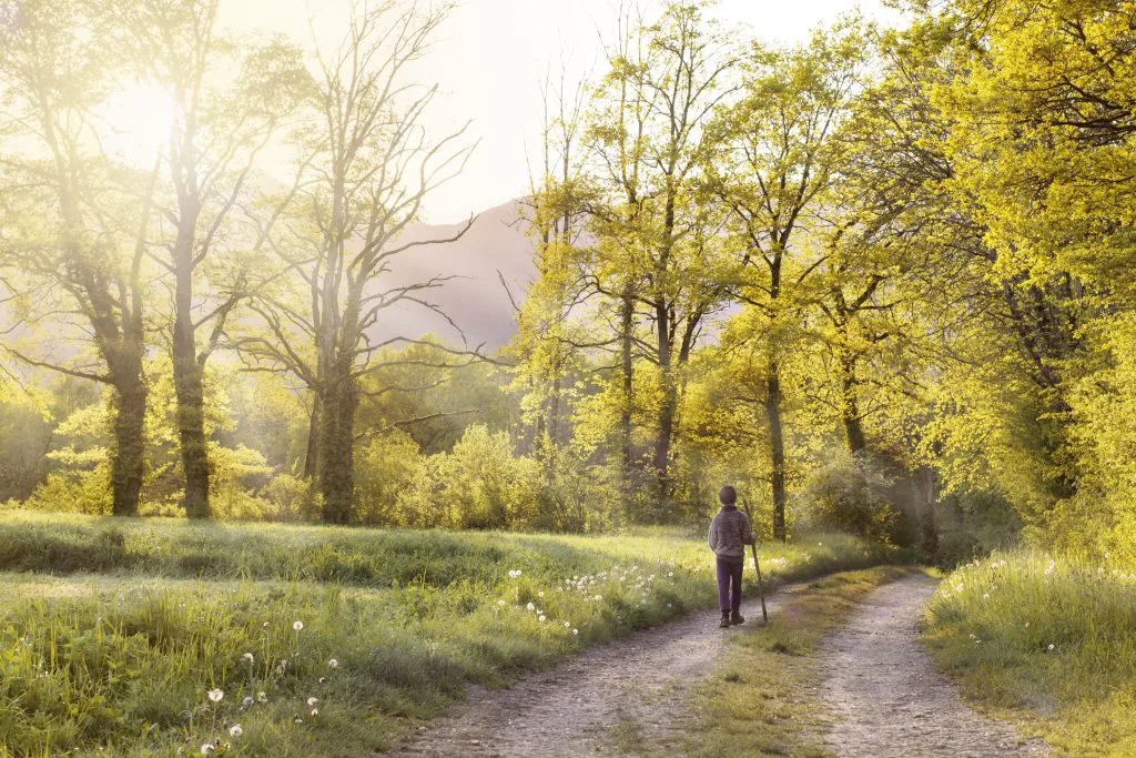 Le chemin vers lequel s'engage les patients pour se rapprocher d'une vie qui a du sens.
