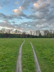 deux chemins le TPB ou trauma complexe