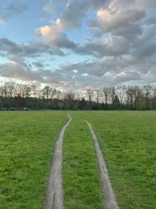 deux chemins le TPB ou trauma complexe